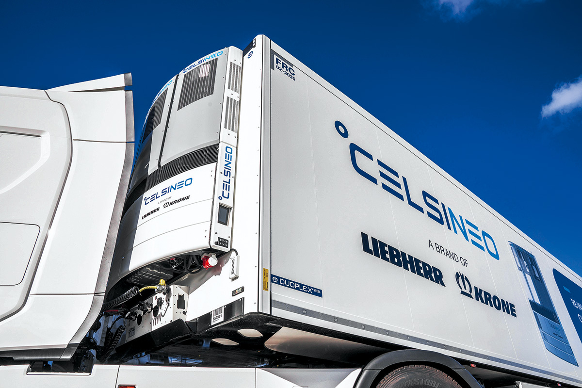 Рефрижераторы Celsineo: чем хорош модульный «холодильник»