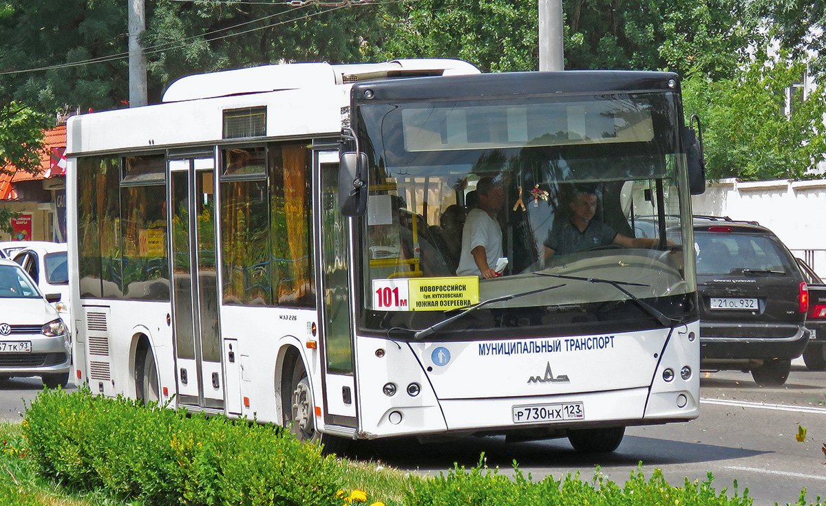 Пригородные и междугородные автобусы: особенности и отличия