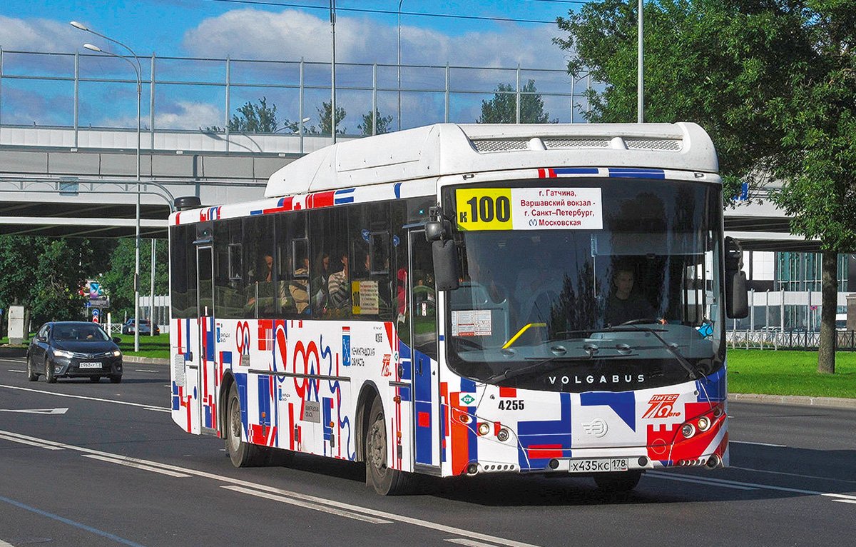 Пригородные и междугородные автобусы: особенности и отличия
