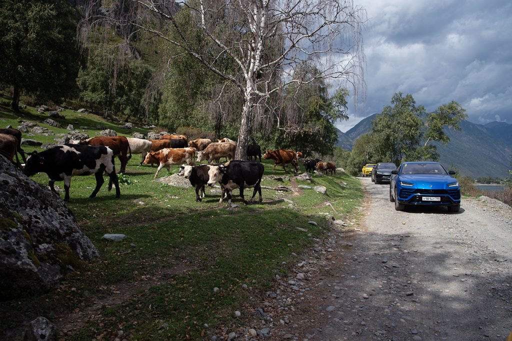 Земля, вода и выхлопные трубы: как мы ездили на Lamborghini Urus по Алтаю