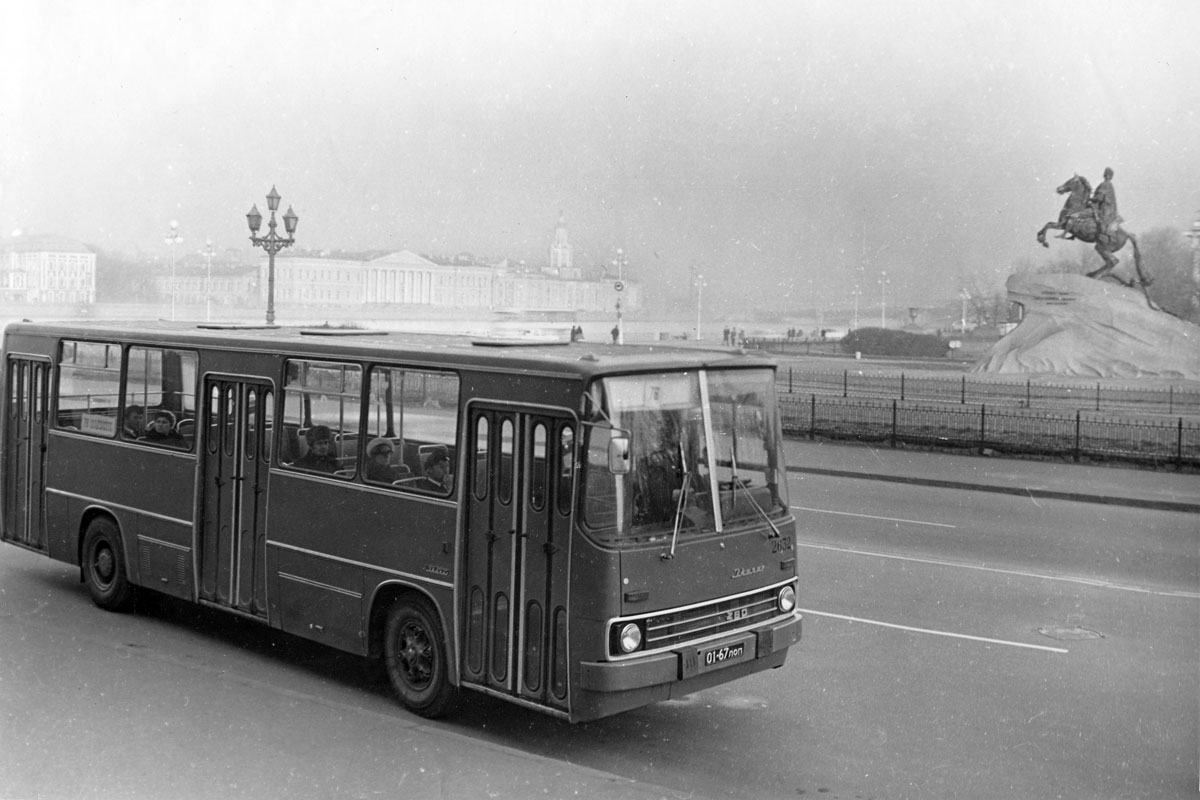 Маршрут построен: автобусы Северной столицы