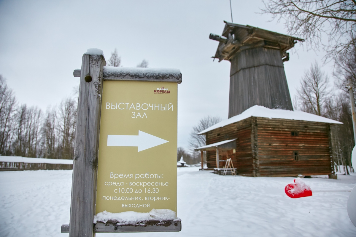 Холодно, ещё холоднее: 6 причин поехать в Архангельск зимой